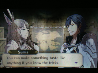Illustration for article titled This Is What Romance Looks Like In Fire Emblem: Awakening